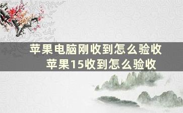 苹果电脑刚收到怎么验收 苹果15收到怎么验收